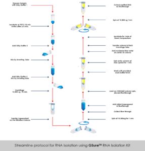 GSure Tissue RNA isolation Kit