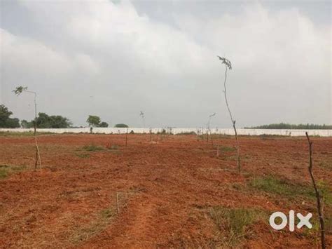 Luxury farm house plots nearby Tirupati area - Lands & Plots - 1771257938
