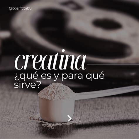 ¿Qué es la creatina y para qué sirve? - POSIFIT