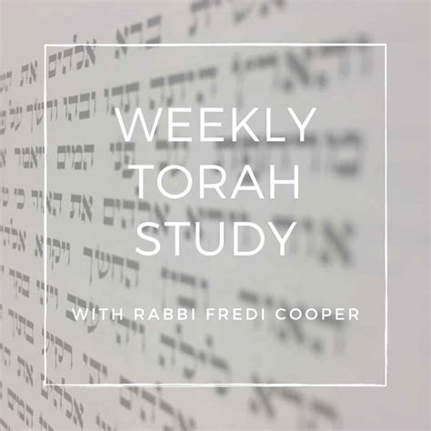 Image result for Torah Study