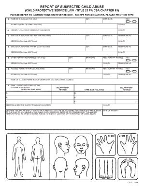 Cy 47 Form Printable - Fill and Sign Printable Template Online