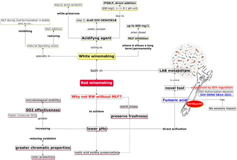 Use of Fumaric Acid to Inhibit Malolactic Fermentation in Bottled Rioja ...