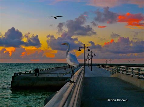 Sunrise on the White Street Pier, Key West - Photo by Don Kincaid | Key ...