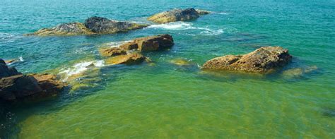 Image result for Goa Latest