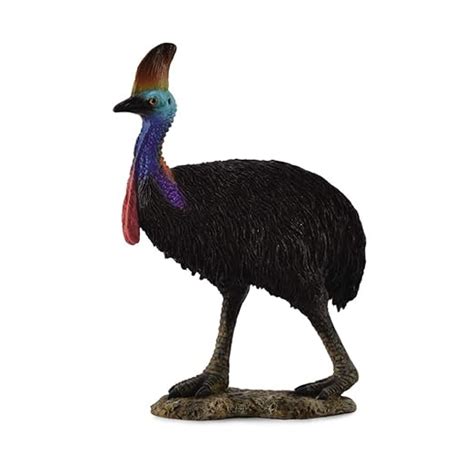 Collecta Wild Life Cassowary Toy Figure – Unbox Japan