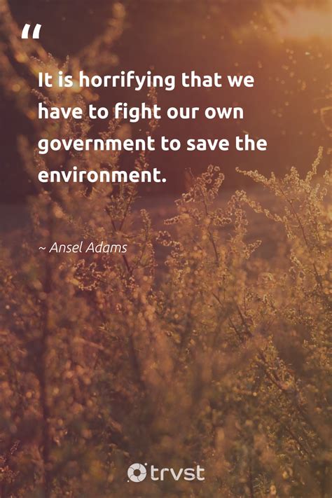 Quotes About Environment 的图像结果