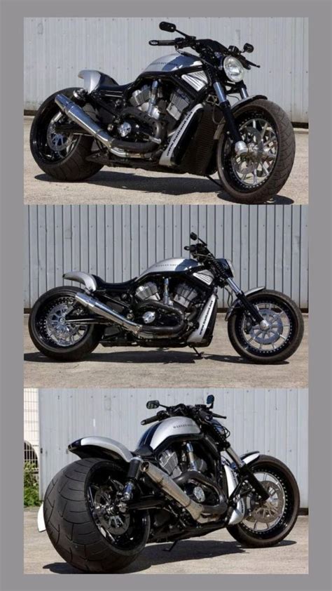 Image result for V-Rod Muscle Review