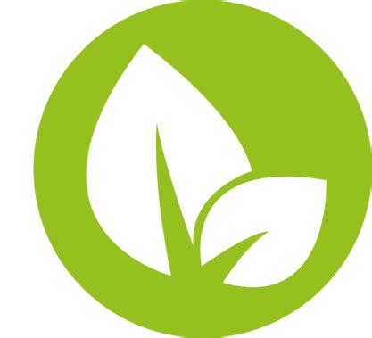 Beam saw kappa automatic | Mayer