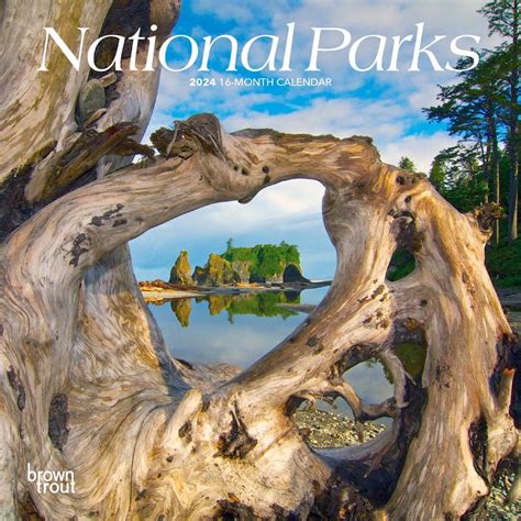 National Parks 2024 Mini 7x7 : Amazon.in: Books