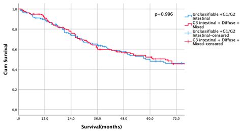 Novel Histologic Categorization Based on Lauren Histotypes Conveys ...