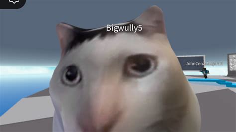 Image result for SS Executor Tutorial