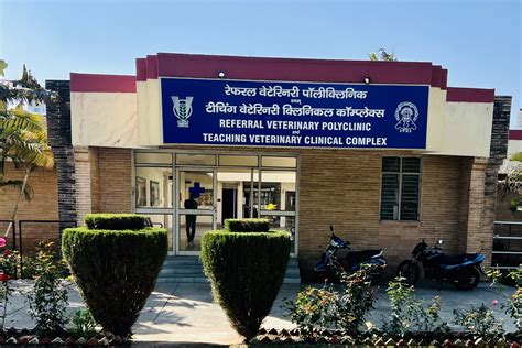 Divisions: Indian Veterinary Research Institute