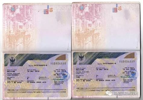 什么是印度尼西亚（312）工作签证？ 印尼工作签证申请具体步骤_申报