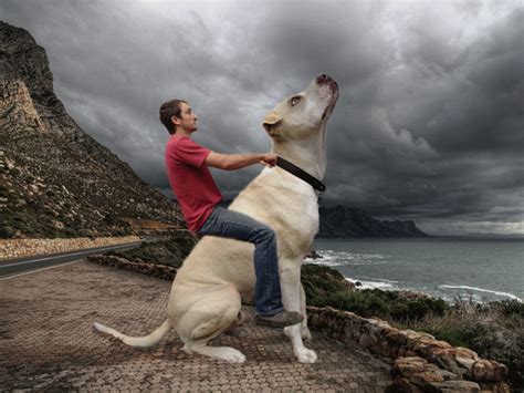 Image result for GIF Examples