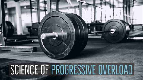 Image result for Progressive Overload Program Template