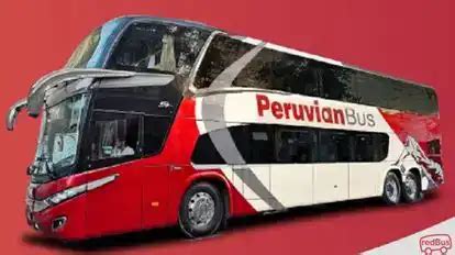 Peruvian Bus Compra pasajes de Bus en línea | Peruvian Bus horarios ...