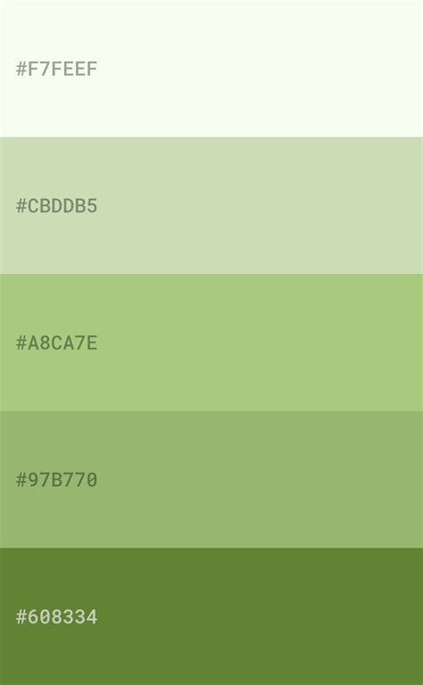 Green Color Scheme: A Fresh and Vibrant Palette