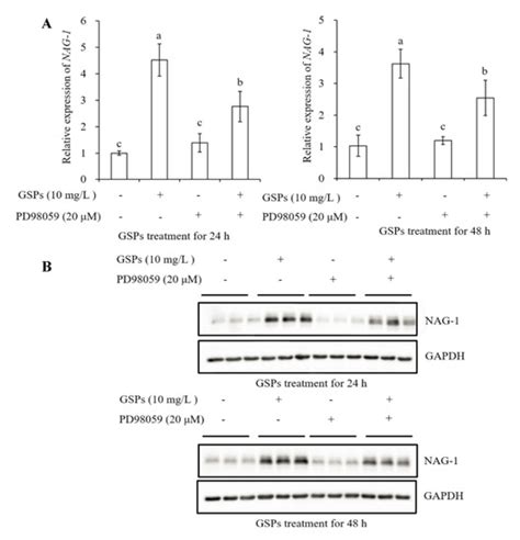 Grape Seed Proanthocyanidins Induce Apoptosis and Cell Cycle Arrest of ...