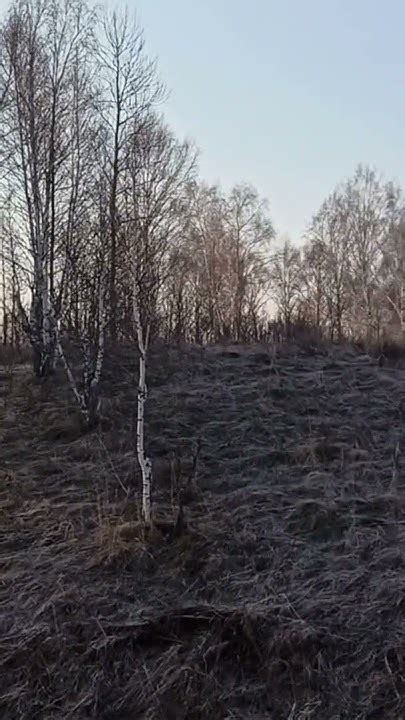 Весенняя охота на утку 2024.Кадры захватывают дух. Охота в Томской ...