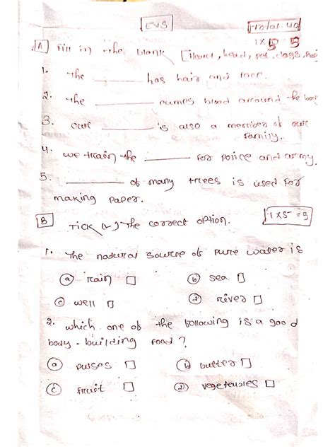 Image result for EVS Project for Class 2