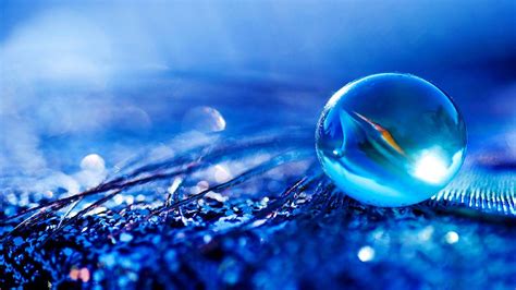 High Resolution Photography 的图像结果