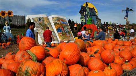 Fall Harvest Festival
