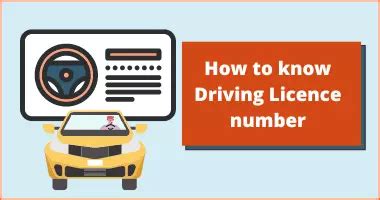 How to Find Driving Licence Number by Name & DOB Online – Step-by-Step ...