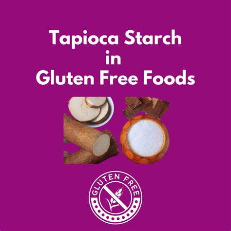 TapiocaStarch in Gluten-Free Food Production - Angel Starch