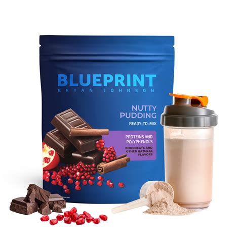 Buy Blueprint Bryan Johnson Longevity Protein Nutty Pudding - 26g ...