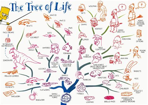 Tree of Life Evolution 的图像结果