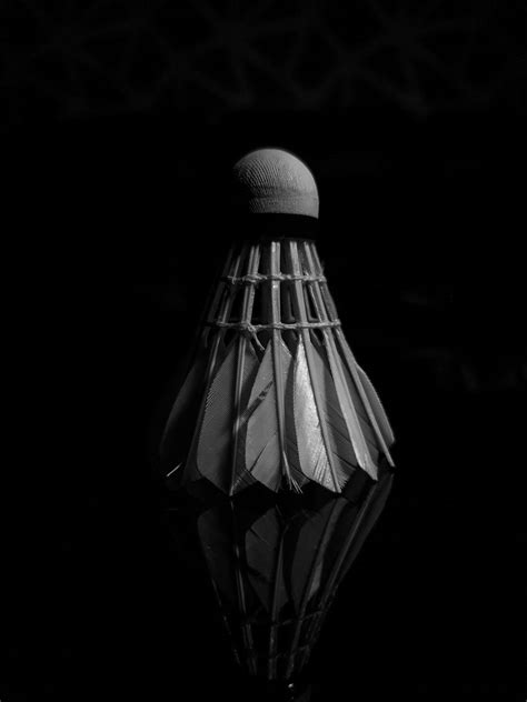 Badminton Poster 的图像结果