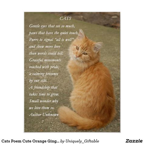 Cute Poem Orange Kitten Cat Poster | Zazzle | Orange kittens, Cat poems ...