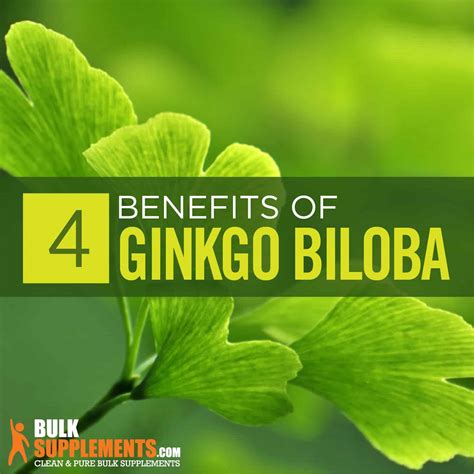 Ginkgo Biloba: Benefits, Side Effects & Dosage