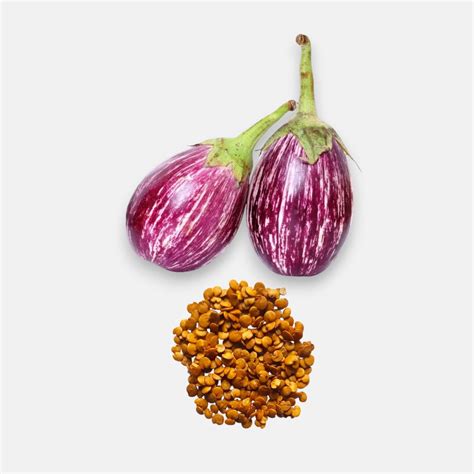 Buy vegetable (kitchen garden) seeds online - [60% off]