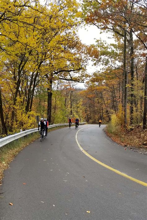 Bike 的图像结果