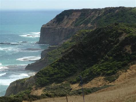 Wattle Hill Tourism (2024): All You Need to Know Before You Go