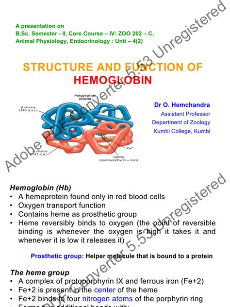 Image result for Haemoglobin Structure and Function