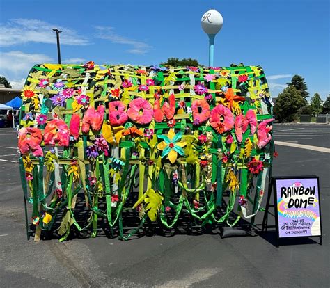 Video and Photo Gallery | Animal Shelter