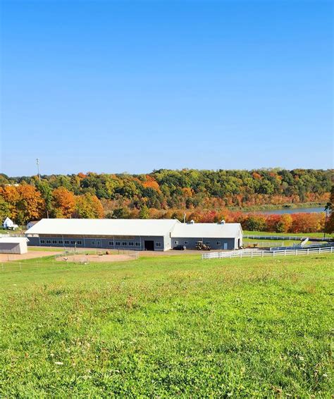 Eagala Fundamental Course for Certification as a MHS, Equine ...