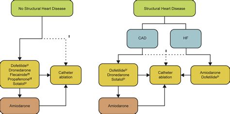 US Antiarrhythmic Drug Treatment for Patients With Atrial Fibrillation: An Insurance Claims ...