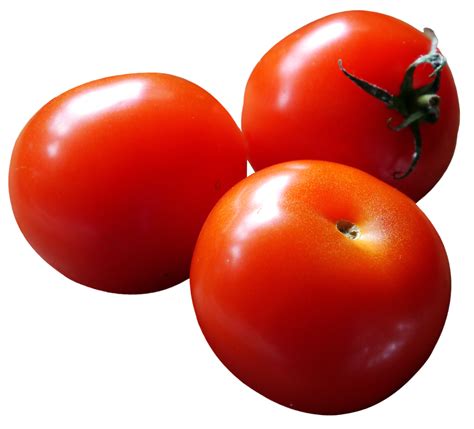 Rotten Tomatoes Fresh Logo, HD Png Download , Transparent Png Image ...