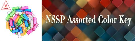NSSP Assorted Color Key and Tag Label Keychain (Pack of-50) : Amazon.in ...
