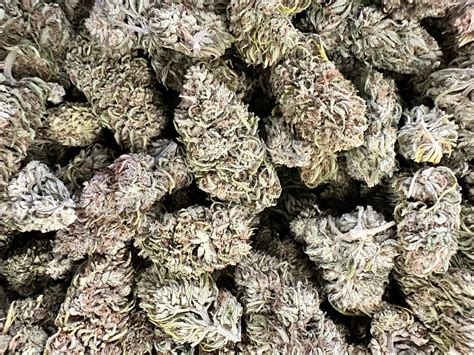 Buy Now - Desert Snow Strain - CBG Flower - Frisco Labs