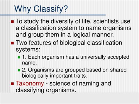 Classification Explained 的图像结果