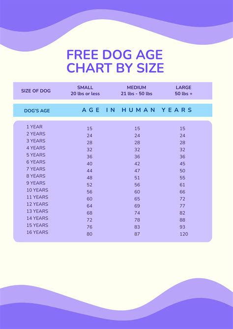 Puppy Teething Age Chart