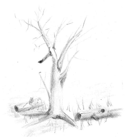 Image result for Drawing Using Perspective