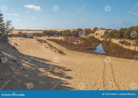 Jockey`s Ridge State Park stock photo. Image of ridge - 122219354