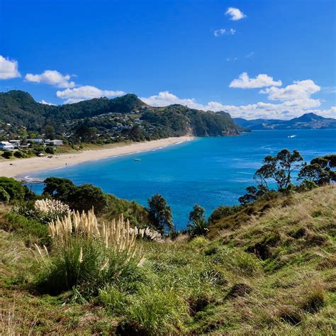 TE PARE HISTORIC RESERVE (2026) All You Need to Know BEFORE You Go ...