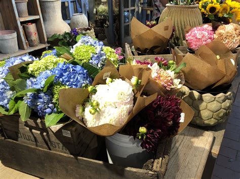 Roger's Gardens in Corona del Mar Is One of My Favorite Places