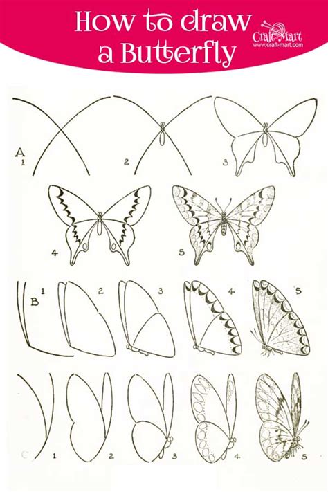 Image result for Butterfly Drawing Tutorial